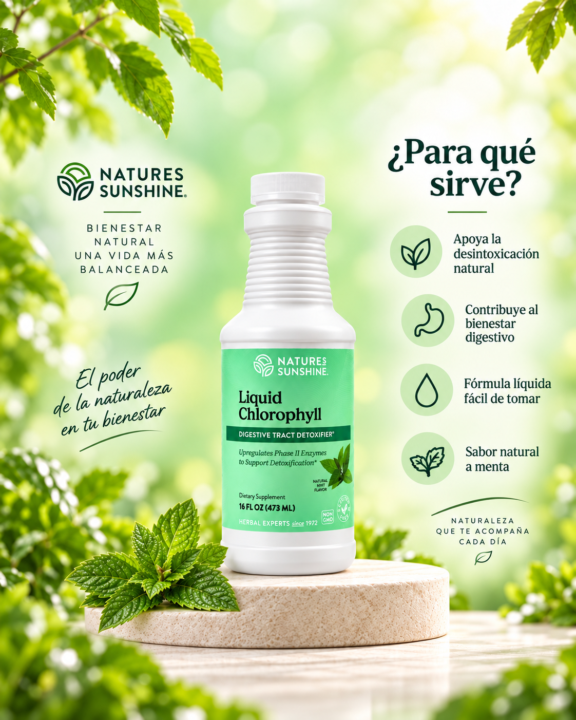 Clorofila Líquida Nature’s Sunshine – 16 fl oz (473 mL)
