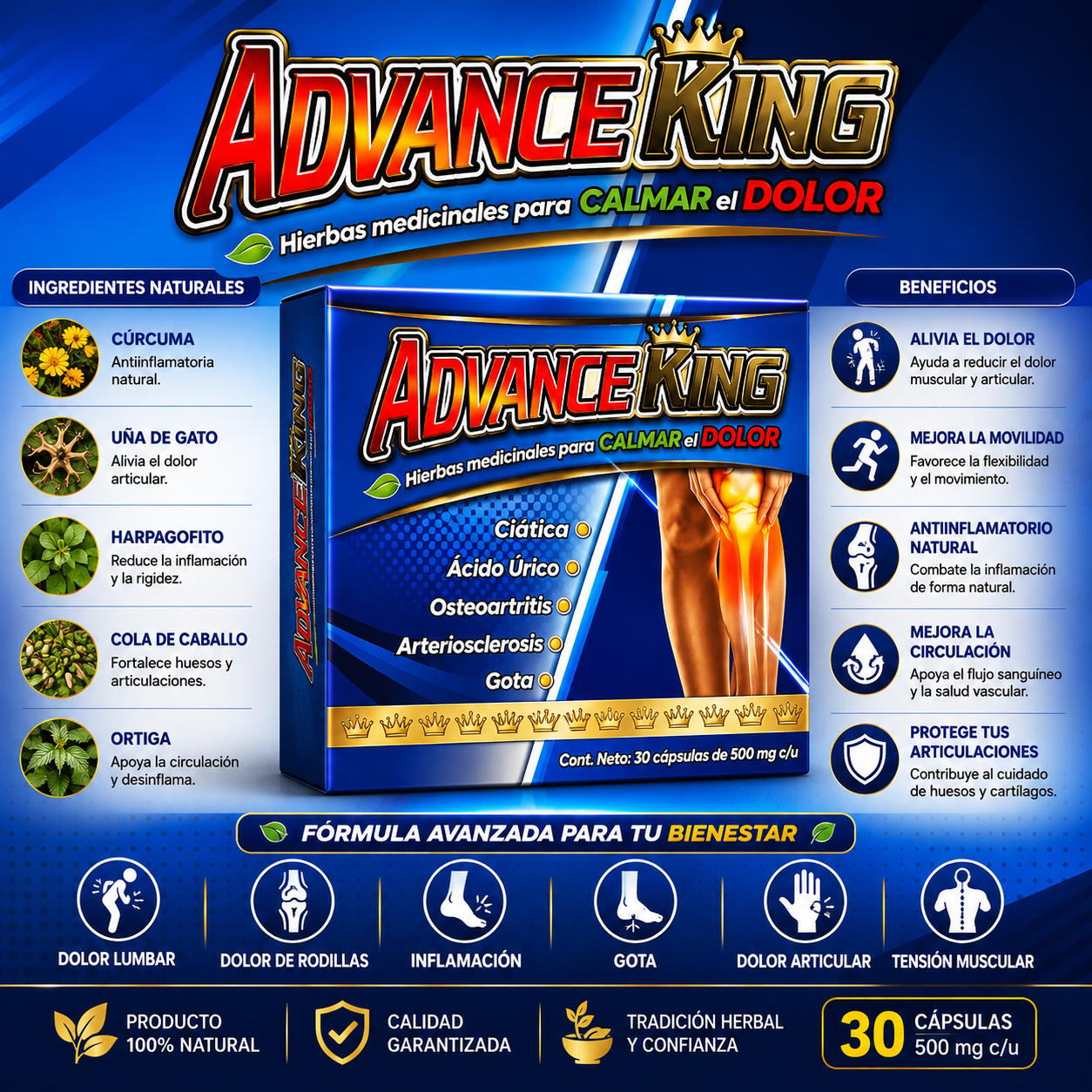 ADVANCE King 30 Cápsulas Reforzado con Ajo Rey Dietary Supplement Healthcare Natural