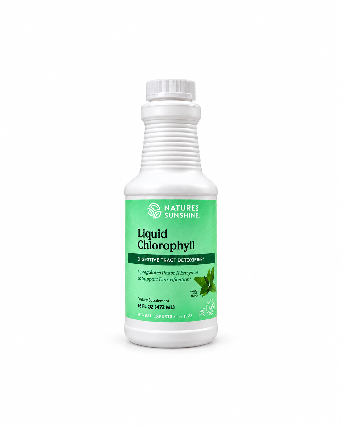 Clorofila Líquida Nature’s Sunshine – 16 fl oz (473 mL)