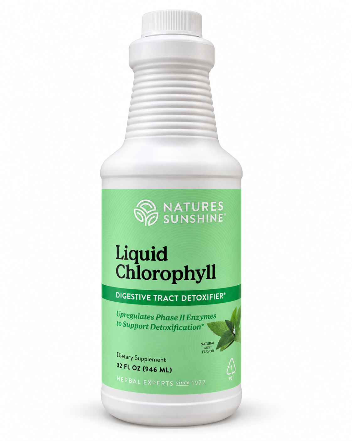 Clorofila Líquida Nature’s Sunshine – 32 fl oz (946 ml)