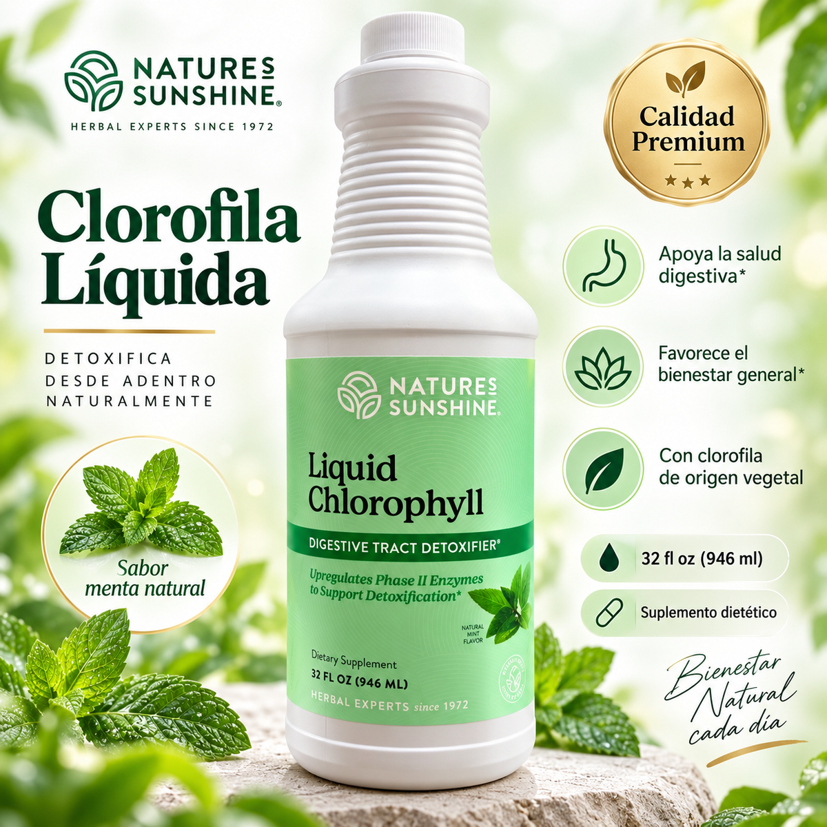 Clorofila Líquida Nature’s Sunshine – 32 fl oz (946 ml)
