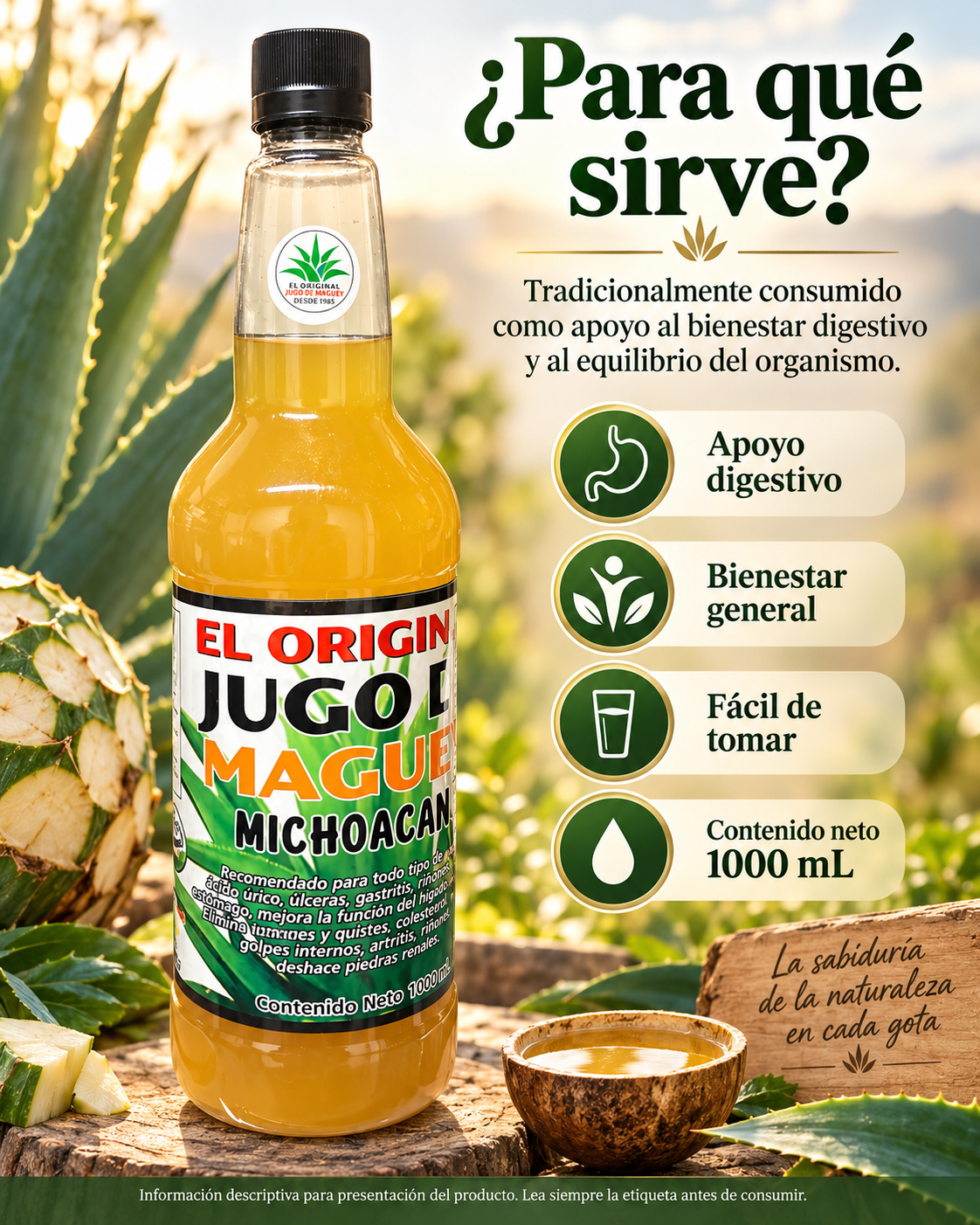 Jugo de Maguey Michoacán 1000 mL – El Original